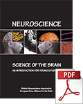 Neuroscience Science of the Brain