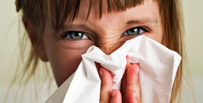 Rinite: como evitar reações alérgicas dentro de casa