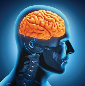 Estimulação magnética transcraniana