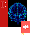 Audiobook Brain Facts