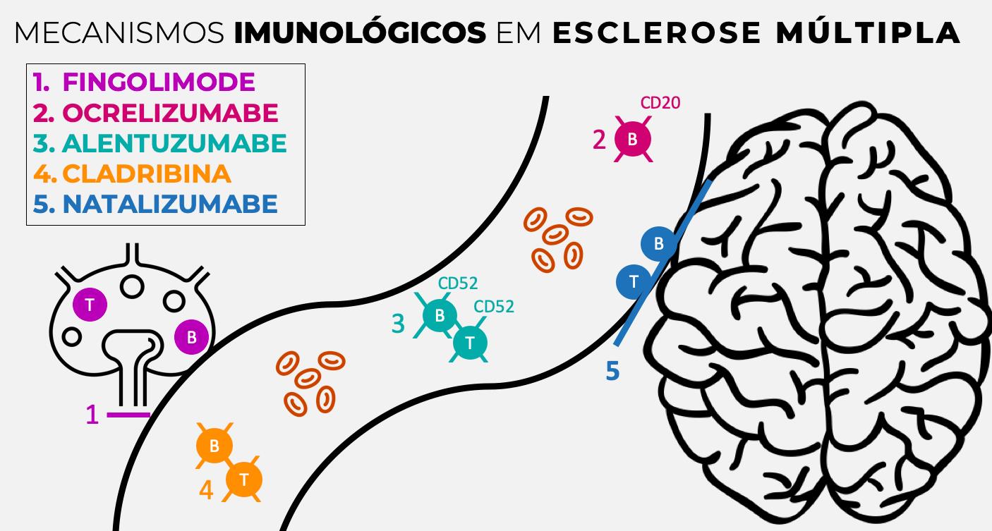 ilustação.jpg