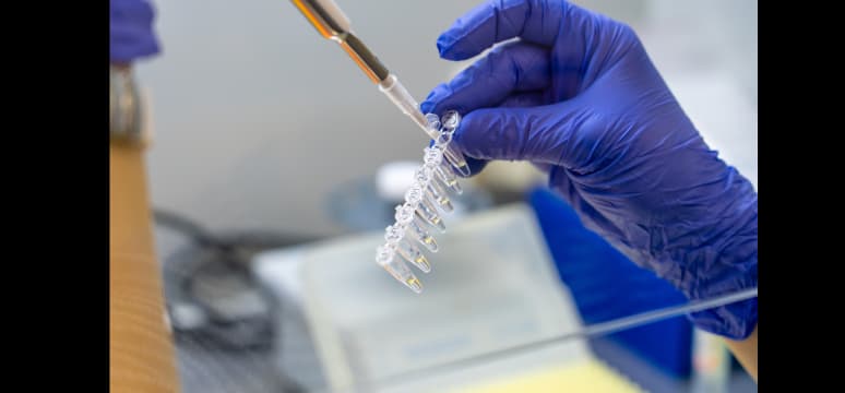 Imagem de mãos com luvas manuseando amostras em laboratório, ilustra  as pesquisas científicas e os avanços tecnológicos destacados pela Agência Einstein na imprensa, com foco em inovação e saúde.