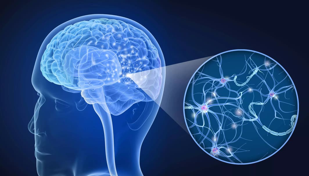Imagem em 3D das conexões cerebrais.