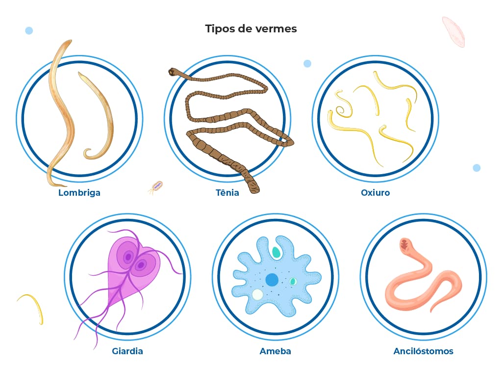 A imagem mostra diferentes tipos de vermes e parasitas, incluindo lombriga, tênia, oxiuro, giardia, ameba e ancilóstomos, todos causadores de infecções intestinais. Esses parasitas podem estar associados a condições como verminose e diarreia.