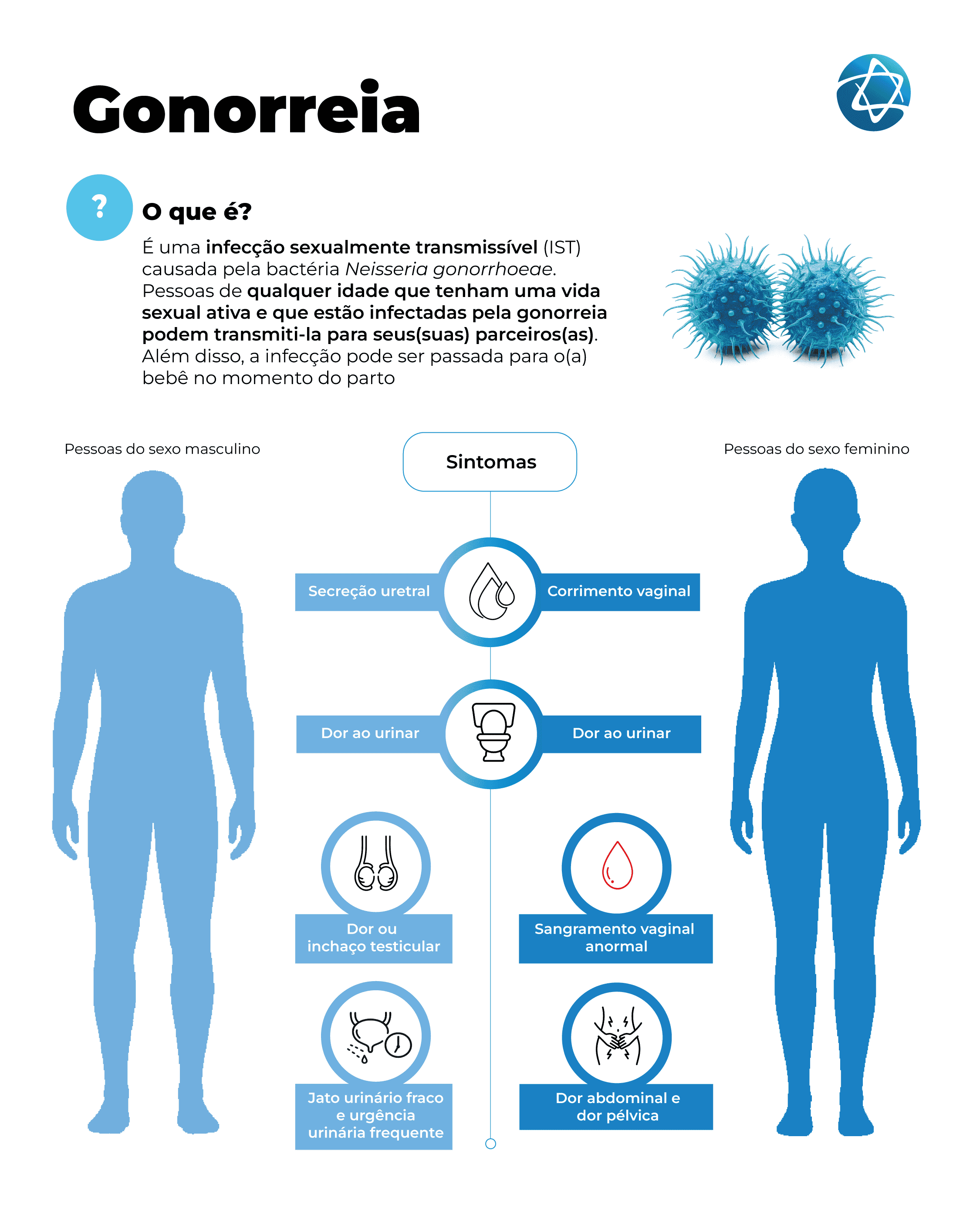 Infográfico sobre gonorreia (Blenorragia ou uretrite gonocócica) explicando o que é a IST, formas de transmissão e sintomas em pessoas do sexo masculino e feminino, como secreção uretral, corrimento vaginal, dor ao urinar, dor testicular e dor pélvica.