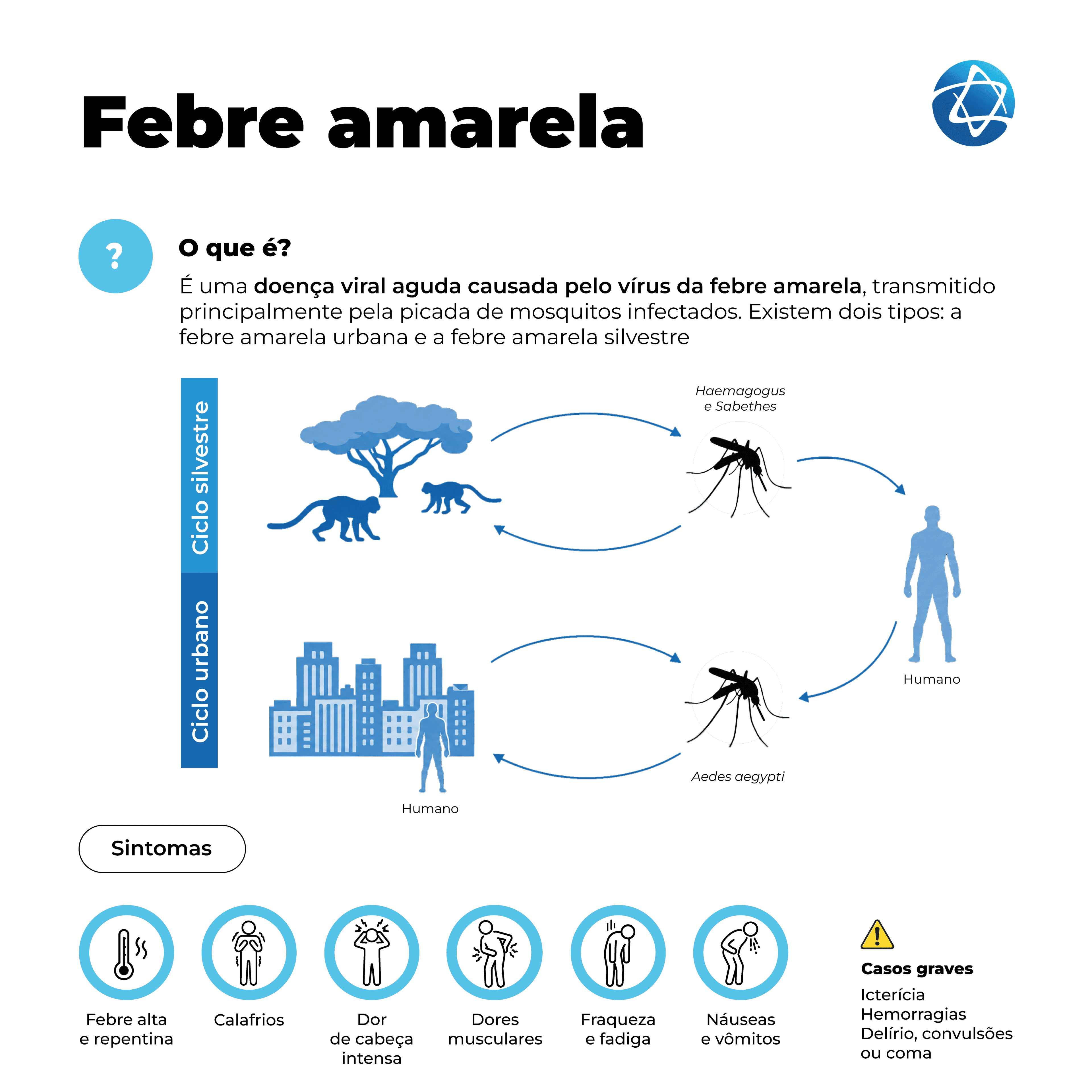Infográfico sobre febre amarela explicando que é uma doença viral aguda transmitida pela picada de mosquitos infectados. Mostra os ciclos silvestre e urbano, com mosquitos Haemagogus, Sabethes e Aedes aegypti, além de sintomas como febre alta, calafrios, dor de cabeça intensa, dores musculares, fraqueza, fadiga, náuseas e vômitos. Em casos graves, pode causar icterícia, hemorragias, delírio, convulsões ou coma.