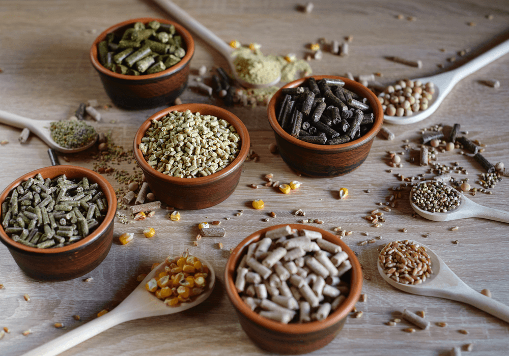 alimentos_funcionais