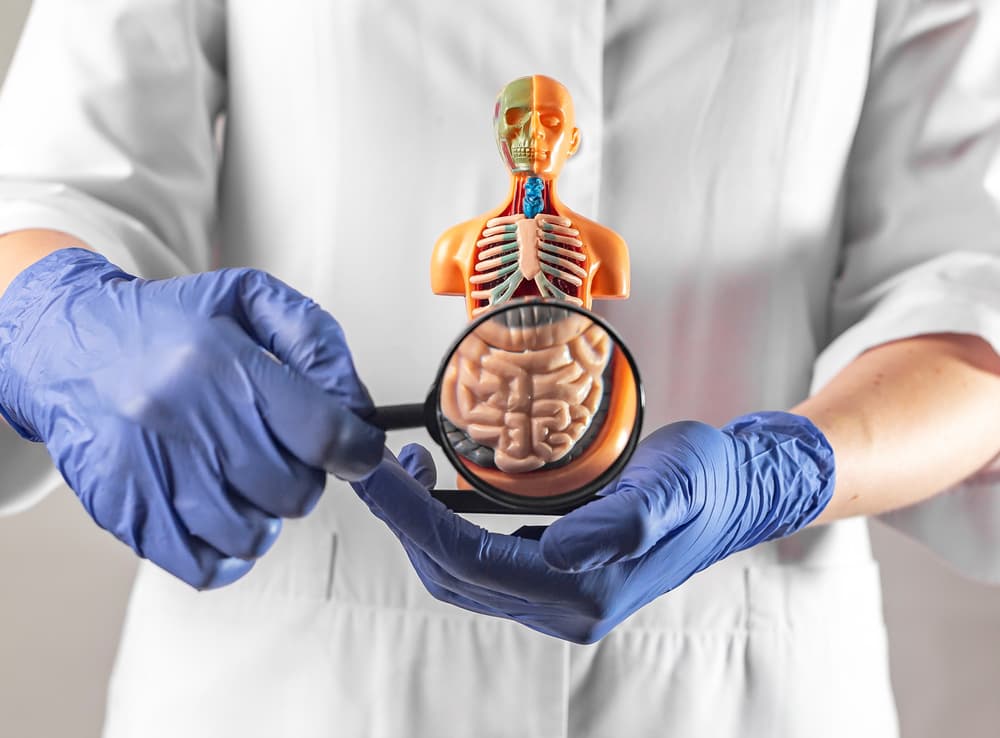 cancer-de-intestino-delgado