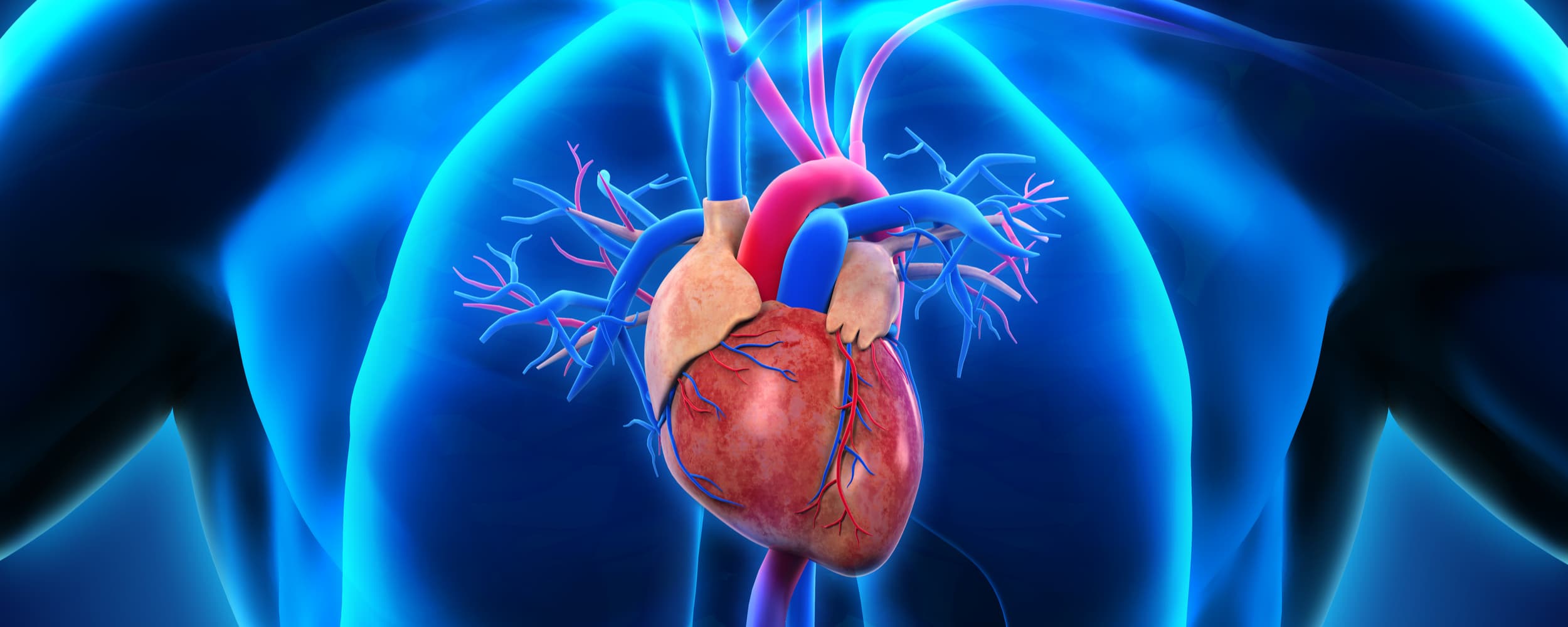 reabilitacao cardiaca