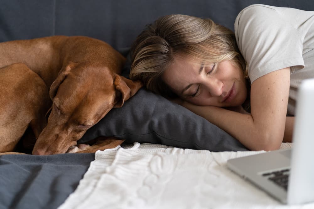 Woman,With,Her,Lovely,Dog,Vizsla,Sleeping,Together,On,The