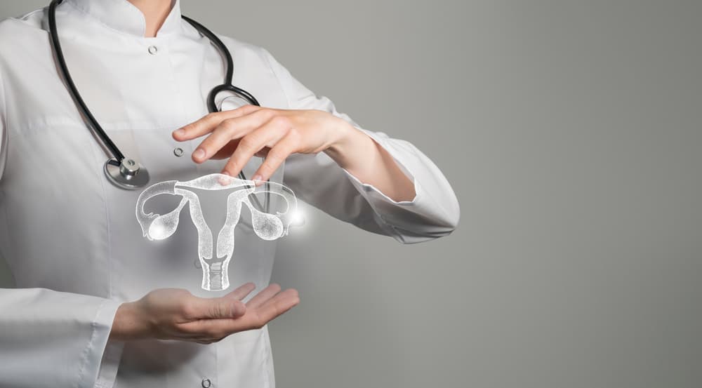 Female,Doctor,Holding,Virtual,Uterus,In,Hand.,Handrawn,Human,Organ,