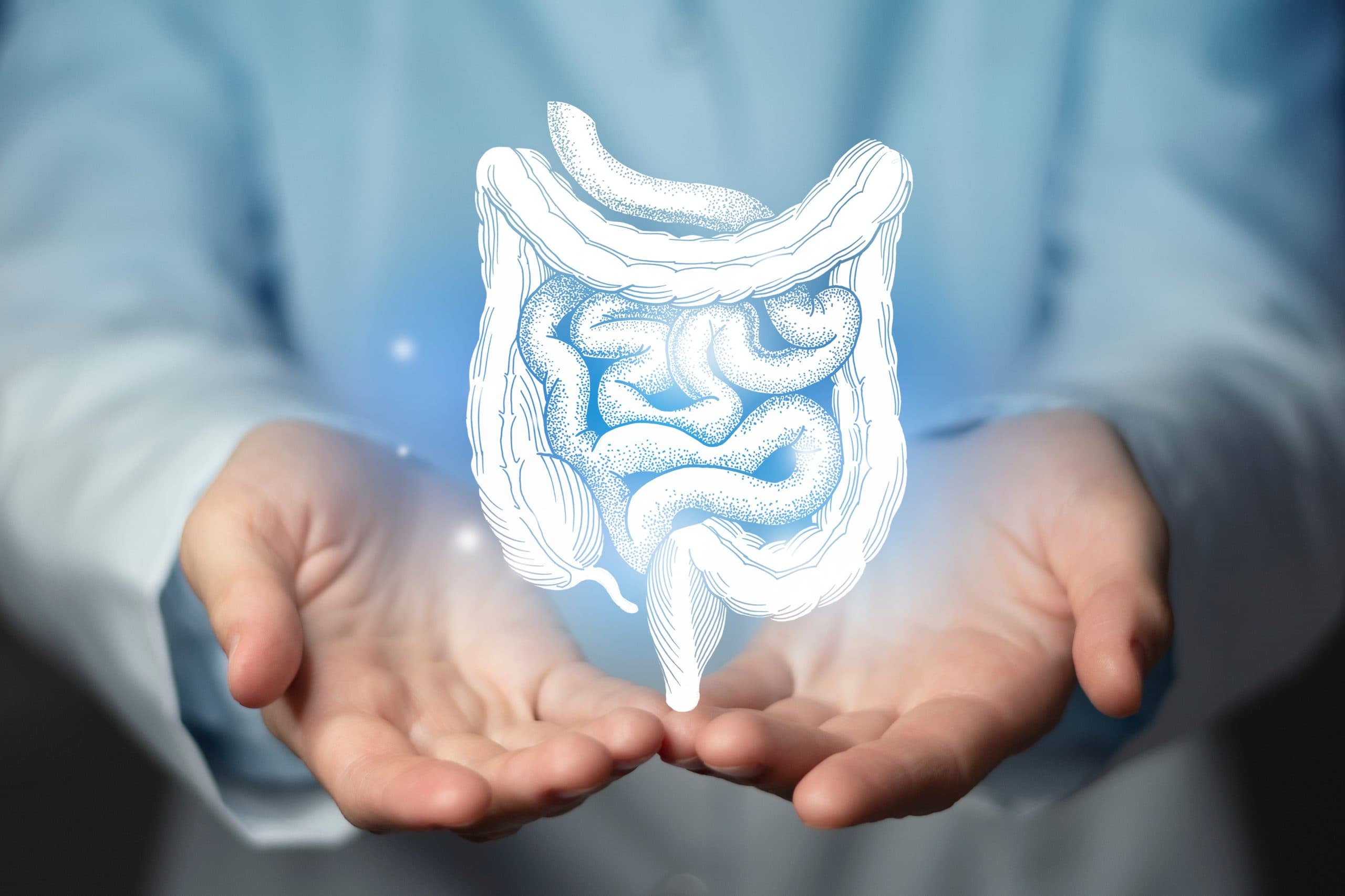 Intestine,Issues,Medical,Concept.,Photo,Of,Female,Doctor,,Empty,Space.