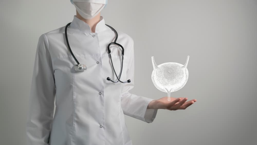 Bladder,Issues,Medical,Concept.,Photo,Of,Female,Doctor,,Empty,Space.