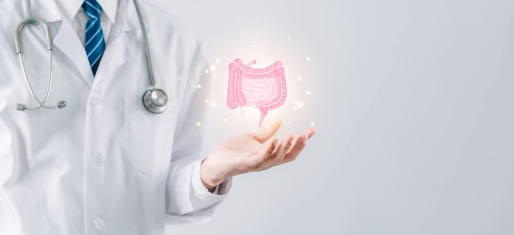 Doctor,In,A,White,Coat,Hands,Holding,Stomach,With,Intestine