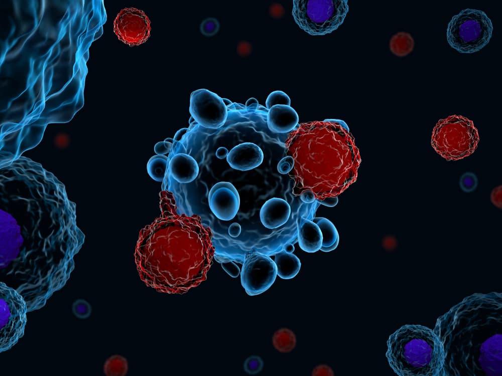 3d,Illustration,Of,Immune,System,T,Cells,Attacking,Cancer,Cells
