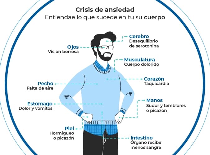 Crisis de ansiedad: Entienda lo que sucede en su cuerpo Crisis de ansiedad: Entienda lo que sucede en su cuerpo