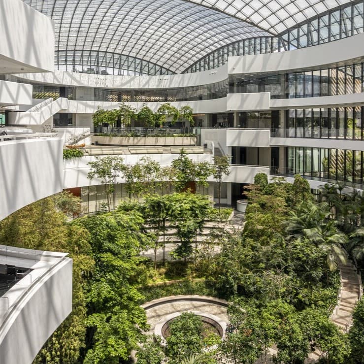 Espaço com arquitetura moderna e área verde no Einstein, simboliza a preocupação com a sustentabilidade, reforça o compromisso com práticas ambientais, eficiência energética e responsabilidade social em projetos e iniciativas de saúde.