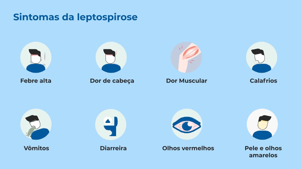 Ilustração que apresenta um conjunto de ícones que informam a principal causa e os sintomas da leptospirose: febre alta, dor de cabeça, dor muscular, calafrios, vômitos, diarreia, olhos vermelhos e pele e olhos amarelos Ilustração que apresenta um conjunto de ícones que informam a principal causa e os sintomas da leptospirose: febre alta, dor de cabeça, dor muscular, calafrios, vômitos, diarreia, olhos vermelhos e pele e olhos amarelos