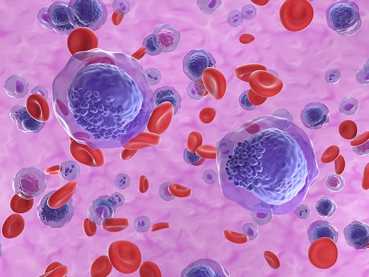 Ilustração das células de leucemia linfoblástica aguda em 3D Ilustração das células de leucemia linfoblástica aguda em 3D