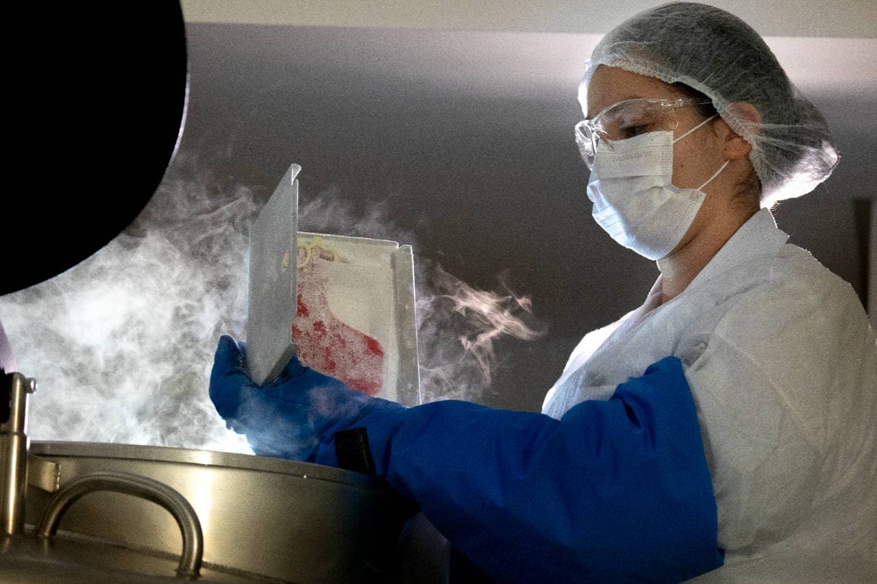 Terapias celulares, como as CAR-T Cells, e até gênicas estão nos corredores do Einstein, seja em laboratórios, seja na prática clínica