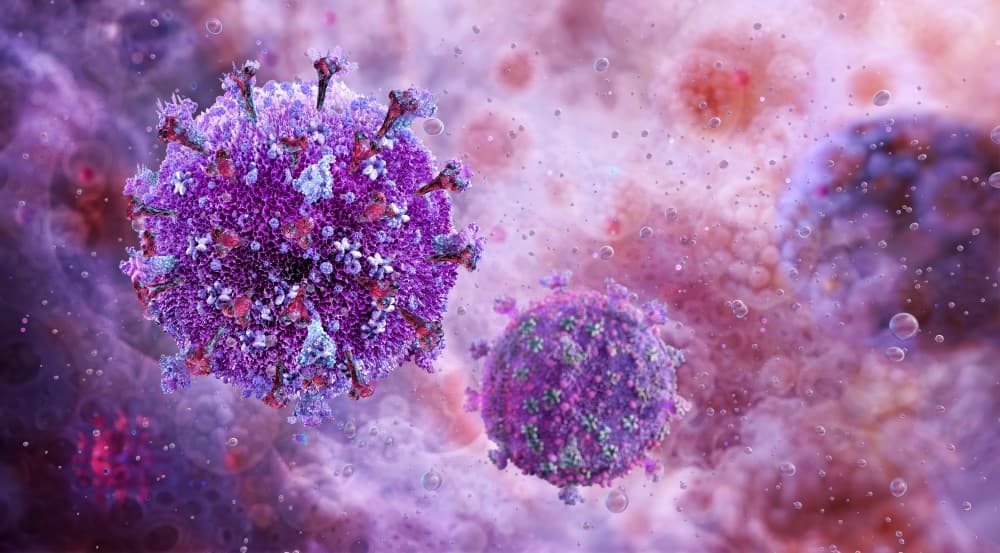 Uma representação detalhada da estrutura viral, destacando as proteínas 'spike' na superfície do envelope viral.