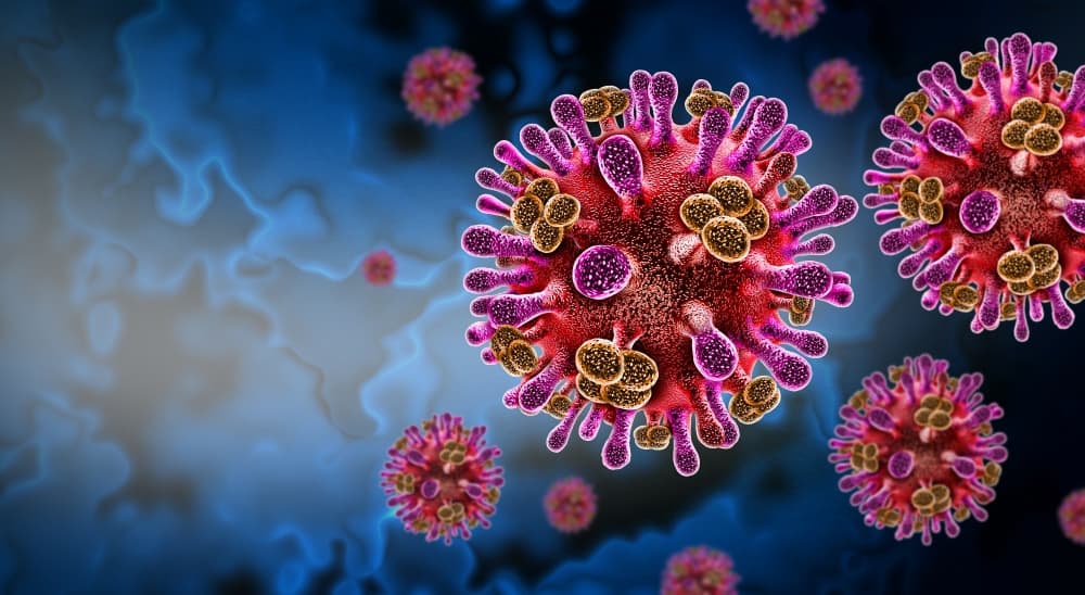 Inimigo invisível: Representação microscópica do vírus Nipah, uma zoonose de alta letalidade que exige vigilância global constante.