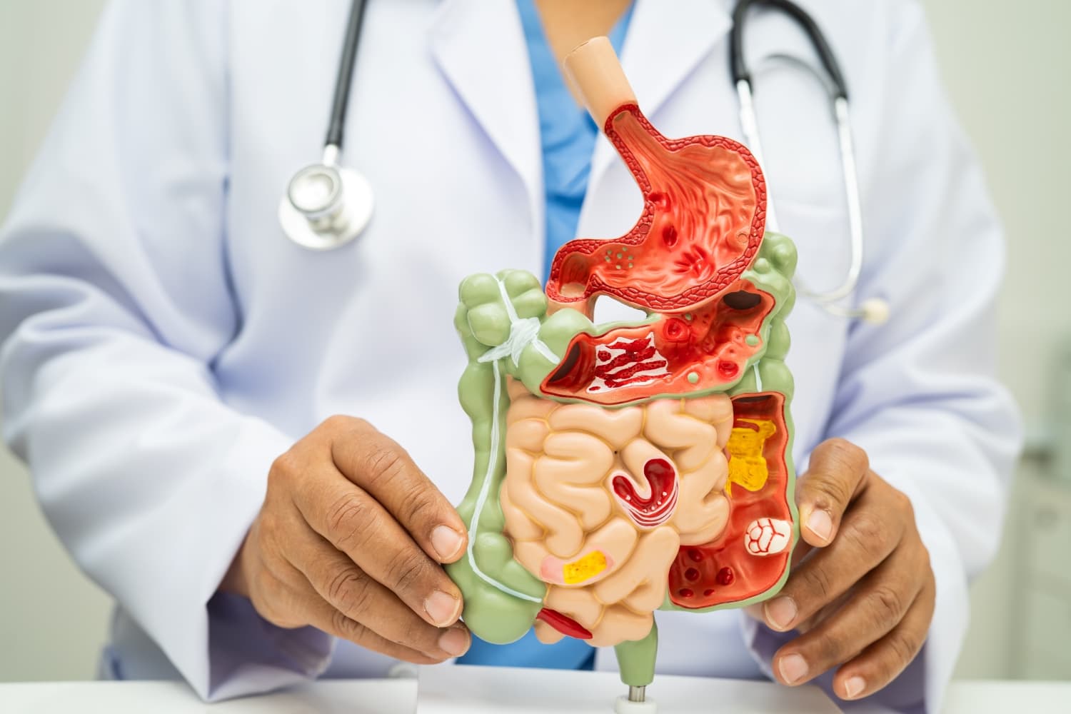 Um profissional de saúde em ambiente médico com uma representação do sistema digestório