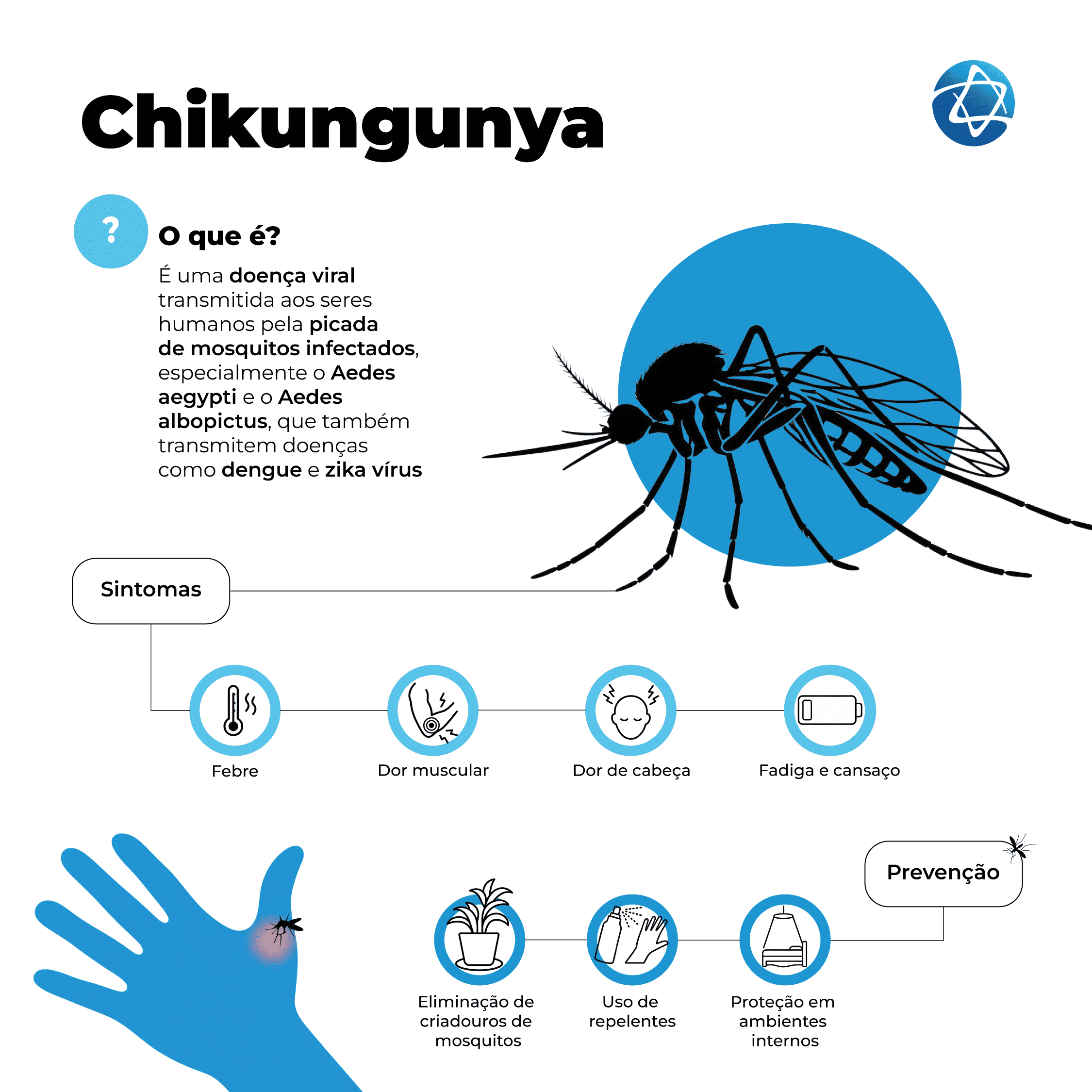 Infográfico sobre chikungunya explicando a transmissão pelo mosquito Aedes aegypti e Aedes albopictus, sintomas como febre, dor muscular, dor de cabeça e formas de prevenção. Infográfico sobre chikungunya explicando a transmissão pelo mosquito Aedes aegypti e Aedes albopictus, sintomas como febre, dor muscular, dor de cabeça e formas de prevenção.