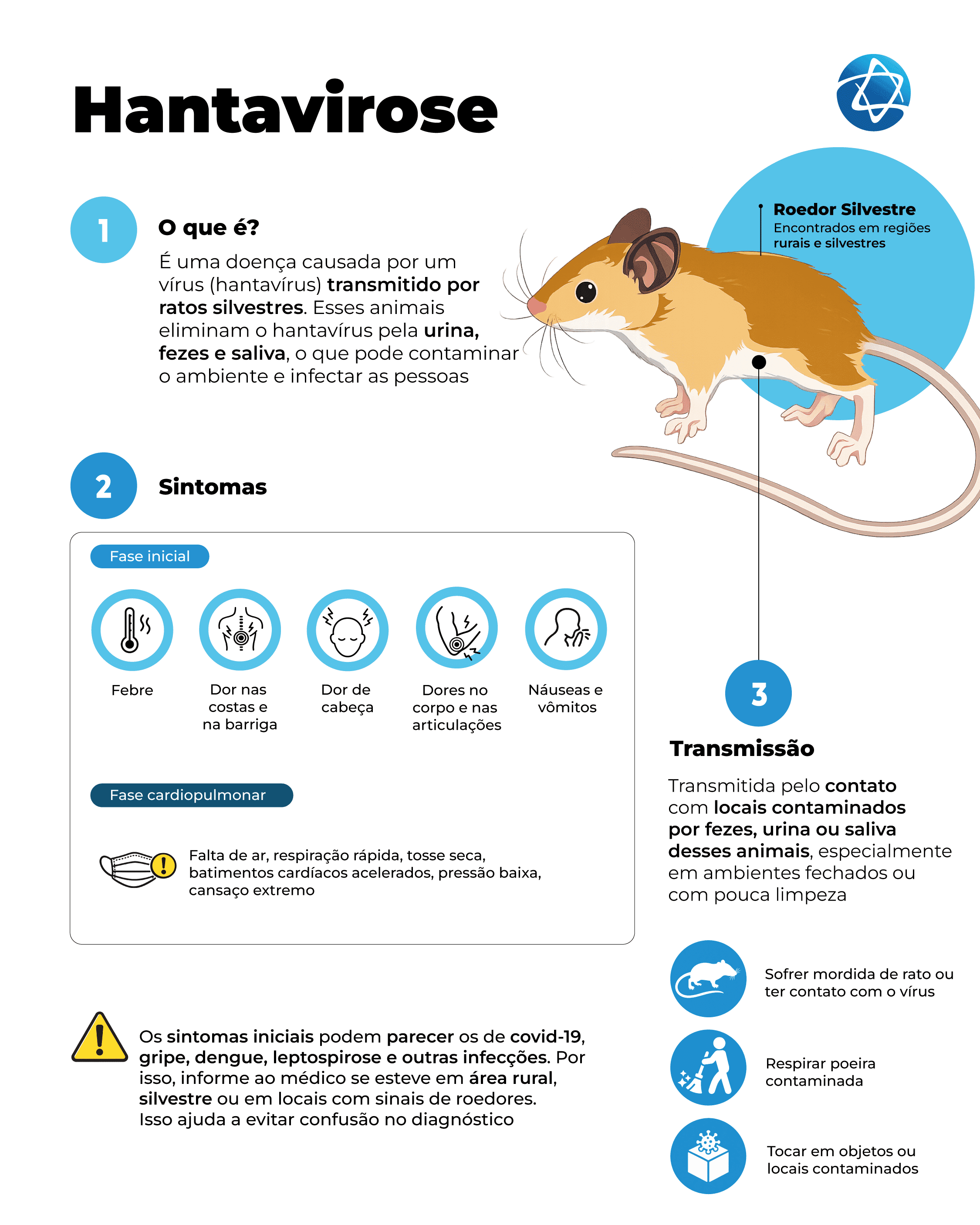 Infográfico sobre hantavirose explicando a transmissão por ratos silvestres, sintomas iniciais e fase cardiopulmonar, além de formas de contágio por poeira e objetos contaminados. Infográfico sobre hantavirose explicando a transmissão por ratos silvestres, sintomas iniciais e fase cardiopulmonar, além de formas de contágio por poeira e objetos contaminados.