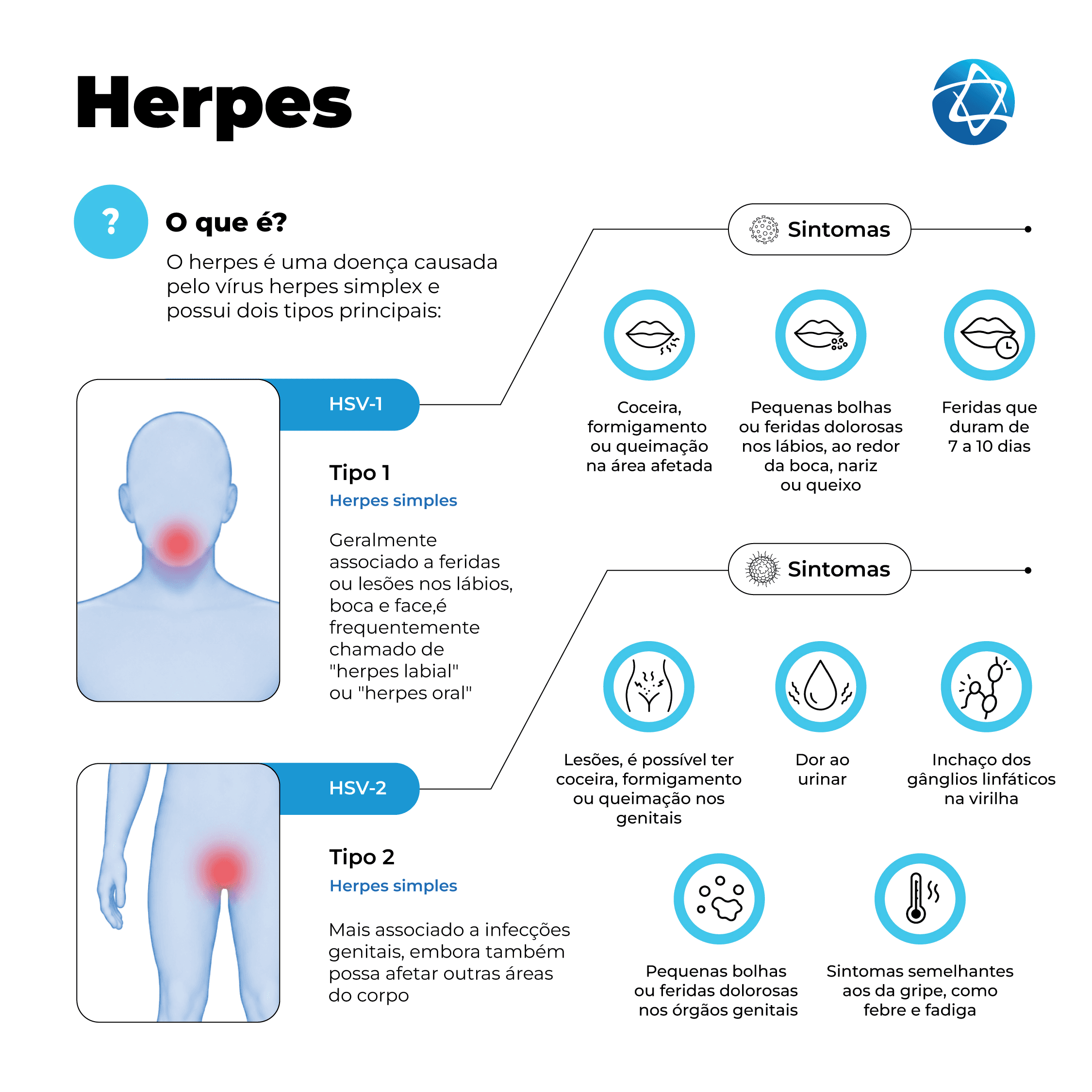 Infográfico sobre herpes explicando os tipos HSV-1 e HSV-2, sintomas do herpes labial e genital, incluindo coceira, bolhas, feridas dolorosas, dor ao urinar, febre e fadiga. Infográfico sobre herpes explicando os tipos HSV-1 e HSV-2, sintomas do herpes labial e genital, incluindo coceira, bolhas, feridas dolorosas, dor ao urinar, febre e fadiga.