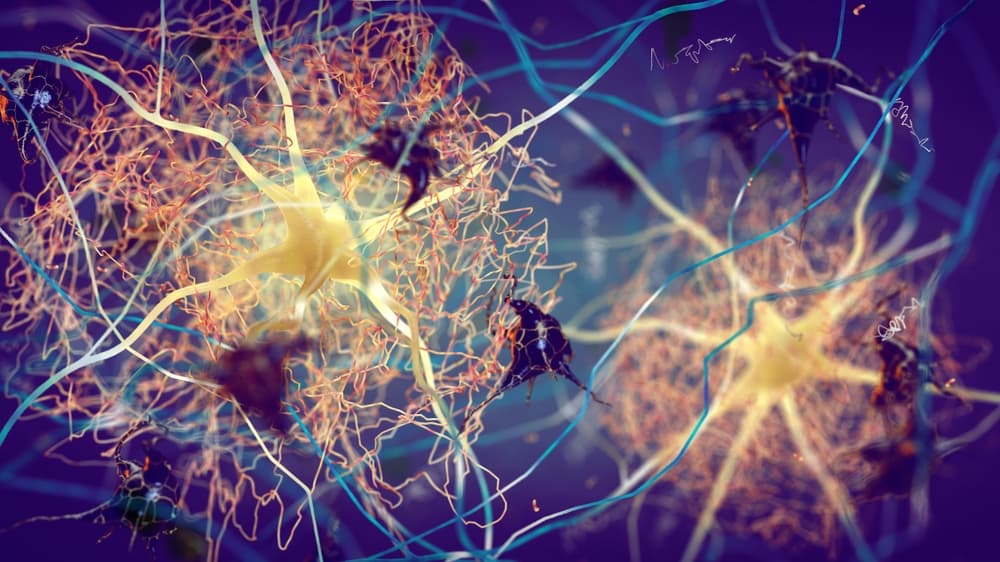 Representação de neurônios e suas conexões, destacando a complexidade das redes neurais no cérebro humano.