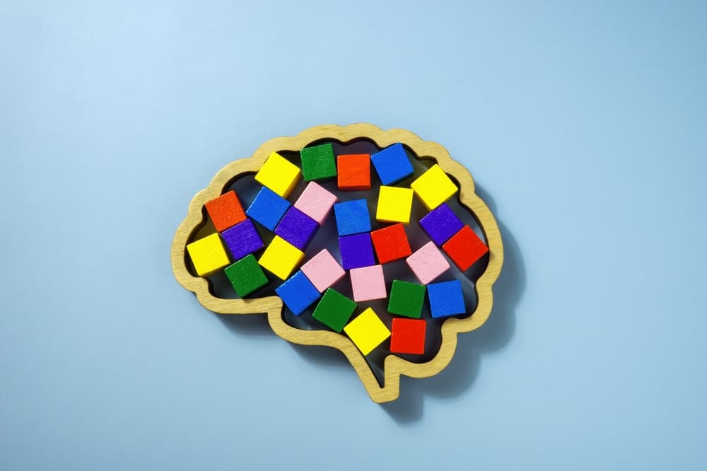 Neurodiversity,Concept.,Brain,Shape,And,Colorful,Cubes.