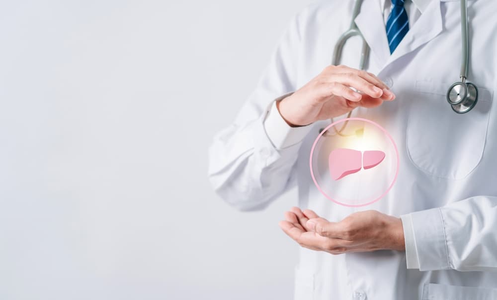 Doctor,In,Uniform,Hands,Holding,Liver,Organ,Virtual,Icon,,Female