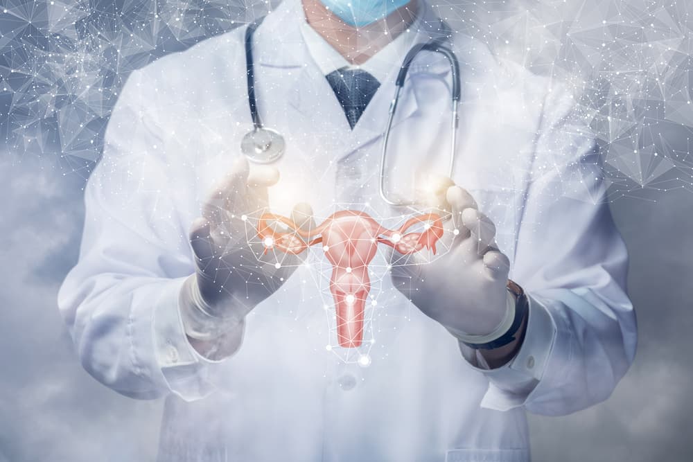 The,Doctor,Shows,A,Model,Of,The,Uterus,In,The