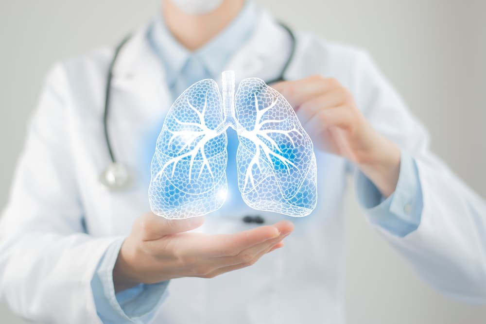 Female,Doctor,Holding,Virtual,Lungs,In,Hand.,Handrawn,Human,Organ,