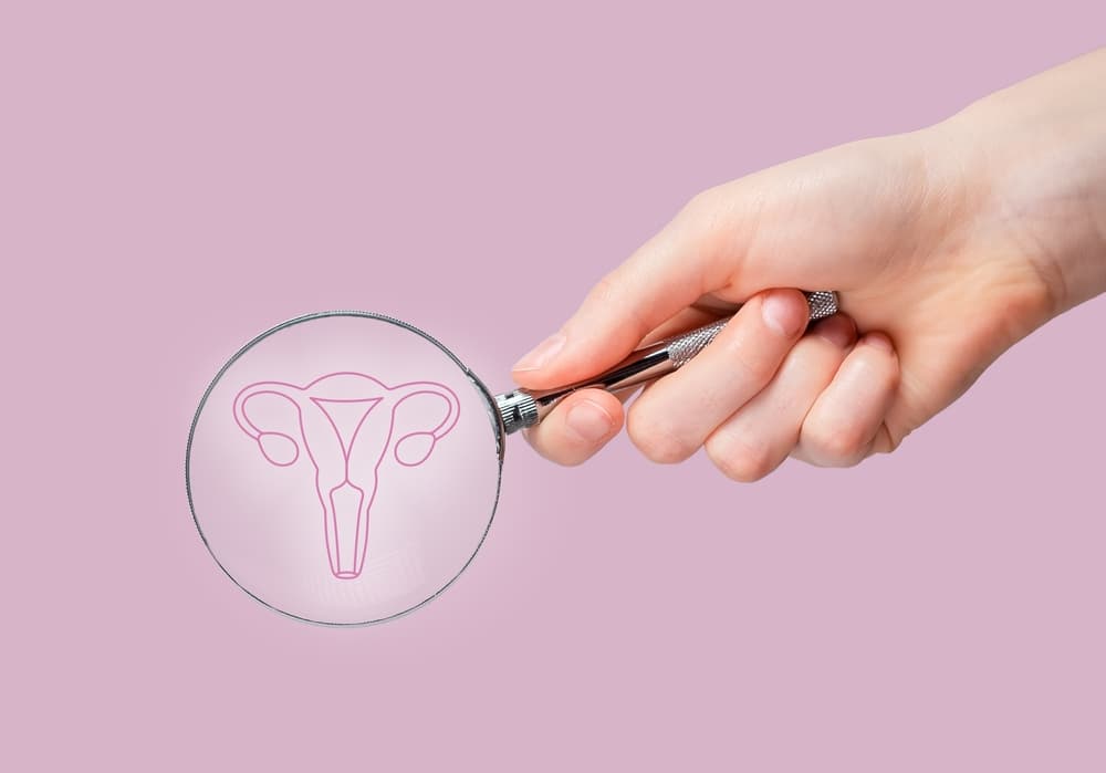 Uterus,Disease,Concept.,Women,Womb,,Gynecology,Problems.,High,Quality,Photo