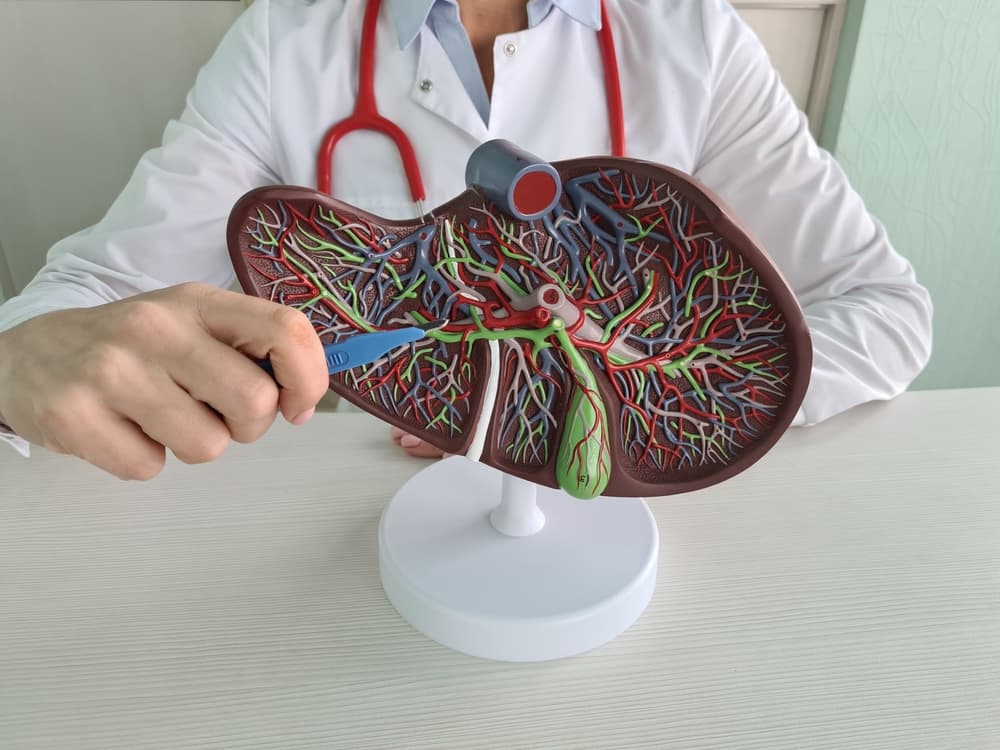 Surgeon,Hand,Holds,Ascalpel,With,An,Anatomical,Figure,Of,Human