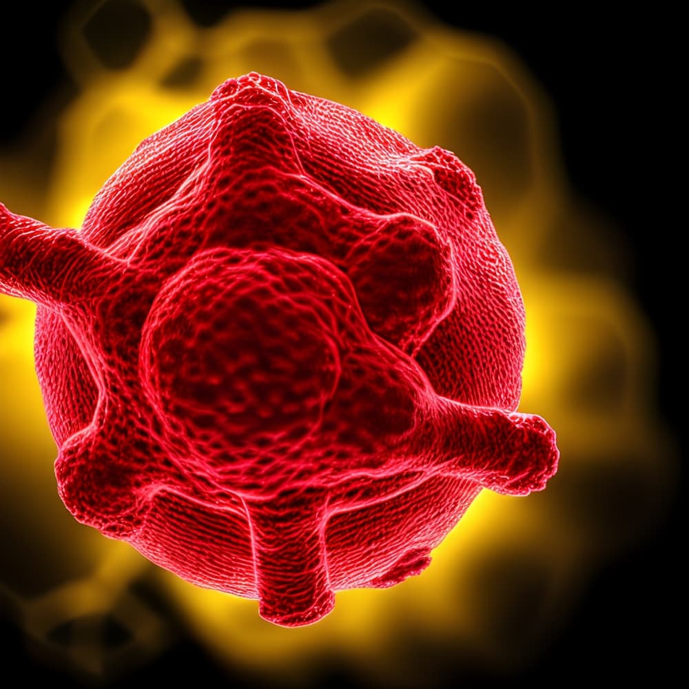Influenza-a-virus,H5n1,(avian,Influenza),From,The,Family,Of,Orthomyxoviruses.
