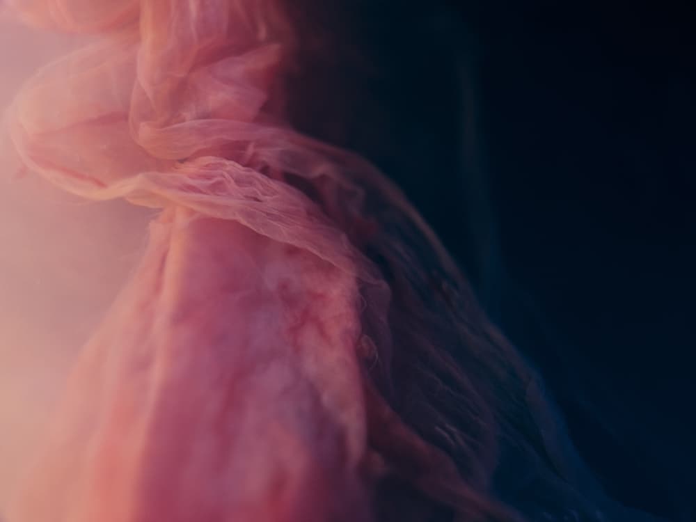 Close,Up,Of,Placenta,And,Membranes,In,Soft,Light